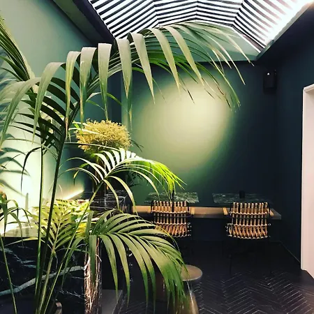 酒店 尼基酒店 雅典